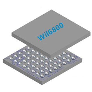 Wil6800